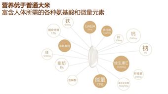 智谷良品 構建新消費時代的智慧生活品牌全案策略